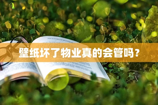 壁纸坏了物业真的会管吗？