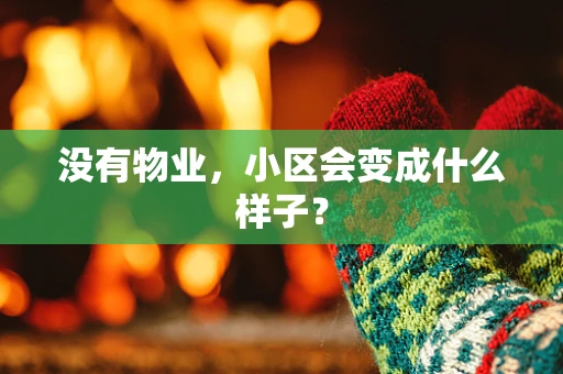 没有物业，小区会变成什么样子？