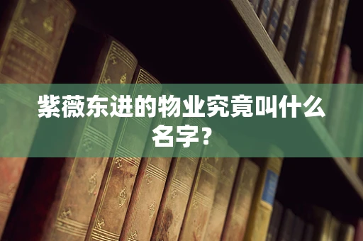 紫薇东进的物业究竟叫什么名字？