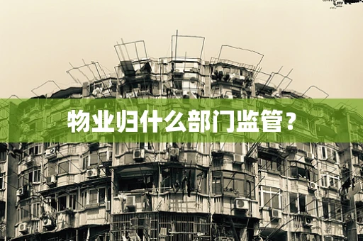 物业归什么部门监管？