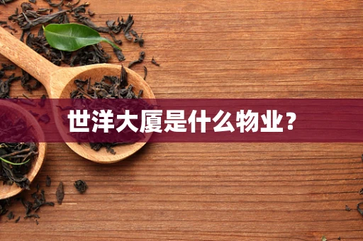 世洋大厦是什么物业？