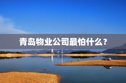 青岛物业公司最怕什么？