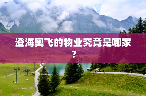 澄海奥飞的物业究竟是哪家？