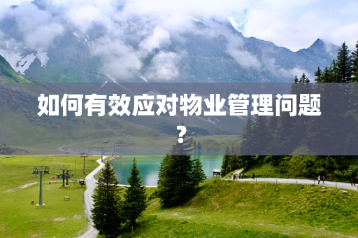 如何有效应对物业管理问题？