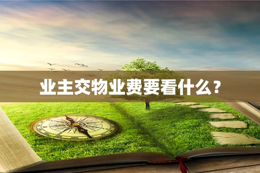 业主交物业费要看什么？