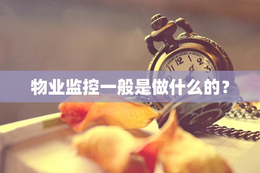 物业监控一般是做什么的？