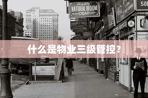 什么是物业三级管控？