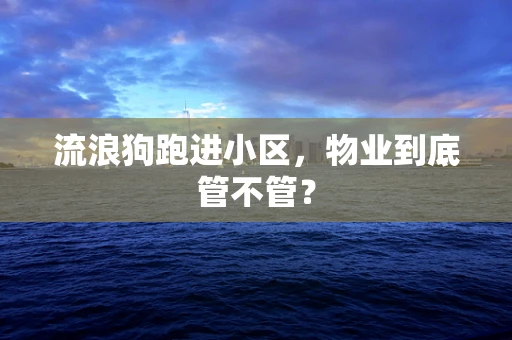 流浪狗跑进小区，物业到底管不管？