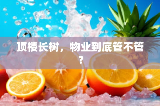 顶楼长树，物业到底管不管？