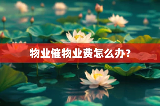 物业催物业费怎么办？