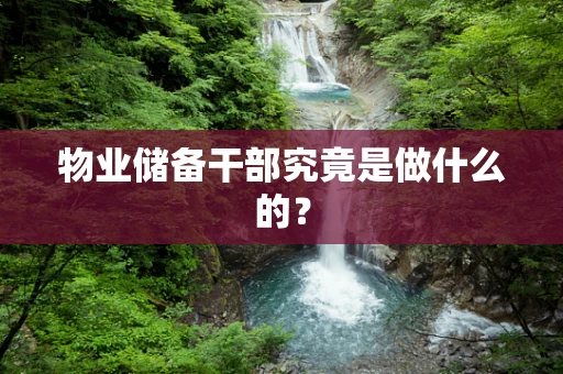 物业储备干部究竟是做什么的？