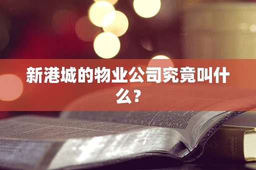 新港城的物业公司究竟叫什么？