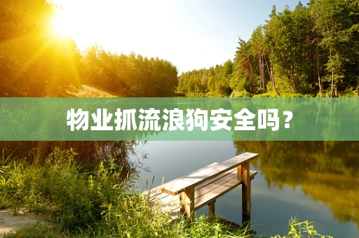物业抓流浪狗安全吗？