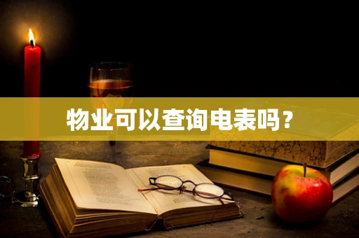 物业可以查询电表吗？