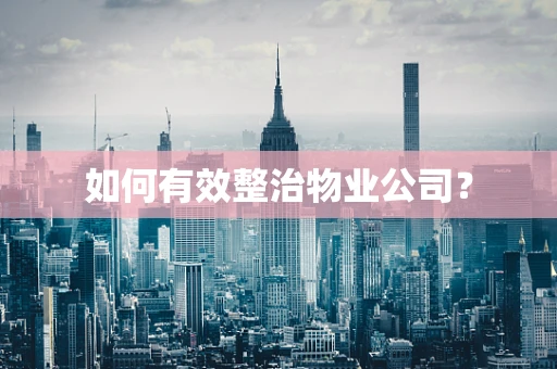 如何有效整治物业公司？
