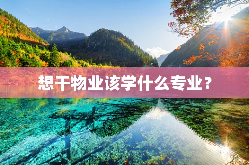 想干物业该学什么专业？