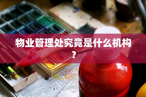 物业管理处究竟是什么机构？