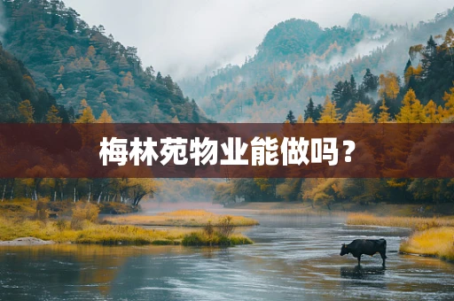 梅林苑物业能做吗？