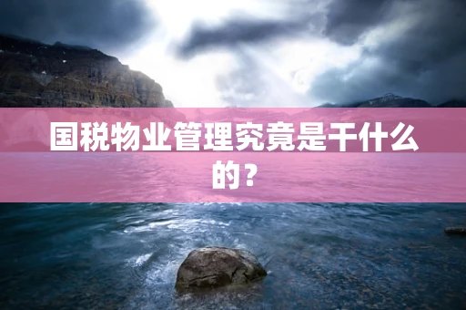 国税物业管理究竟是干什么的？