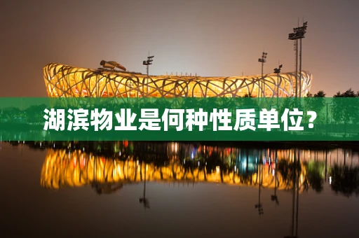 湖滨物业是何种性质单位？