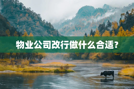 物业公司改行做什么合适？