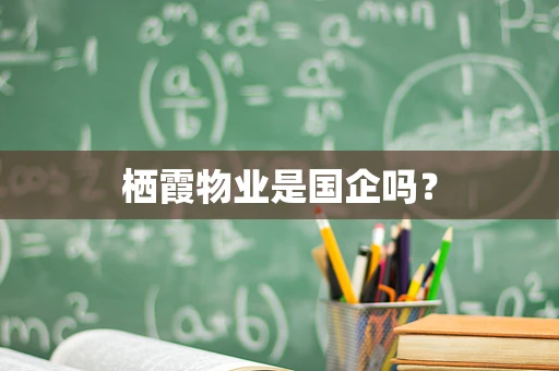 栖霞物业是国企吗？