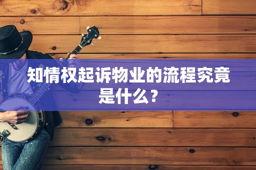知情权起诉物业的流程究竟是什么？