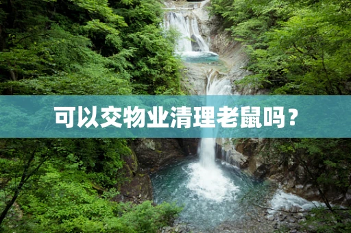 可以交物业清理老鼠吗？