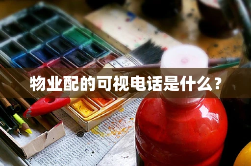 物业配的可视电话是什么？
