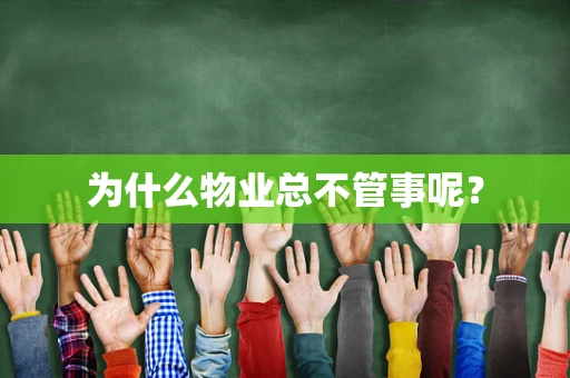 为什么物业总不管事呢？
