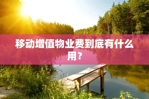 移动增值物业费到底有什么用？