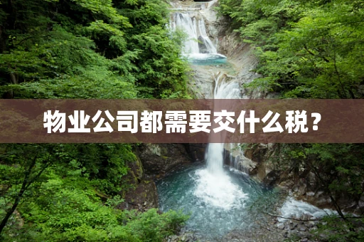 物业公司都需要交什么税？