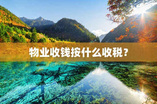 物业收钱按什么收税？