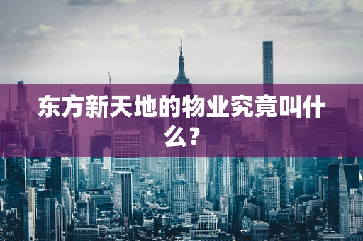 东方新天地的物业究竟叫什么？