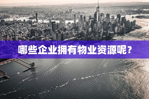 哪些企业拥有物业资源呢？