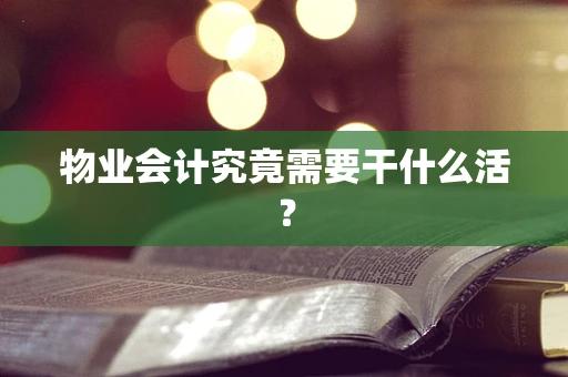 物业会计究竟需要干什么活？