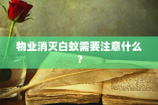 物业消灭白蚁需要注意什么？