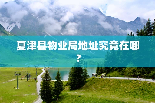 夏津县物业局地址究竟在哪？