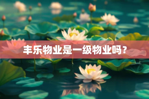 丰乐物业是一级物业吗？