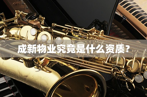 成新物业究竟是什么资质？