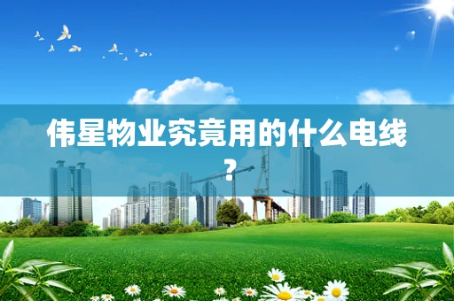 伟星物业究竟用的什么电线？
