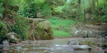 沁水小区都有物业吗？