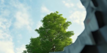 顶楼长树，物业到底管不管？