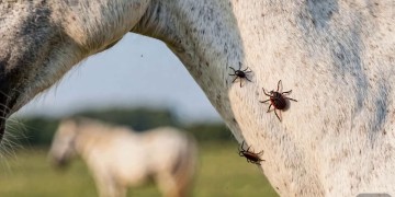 物业水电打孔会收费吗?