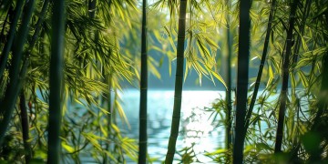竹林湾为何不交物业费？