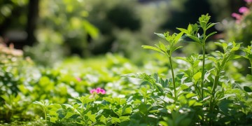 物业核心用户维护究竟是什么？