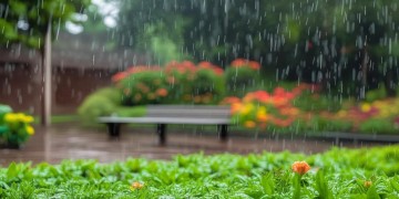 雨天物业适合做什么活动呢？