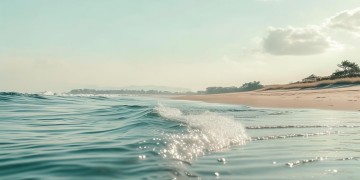 海联物业怎么样？真的值得选择吗？