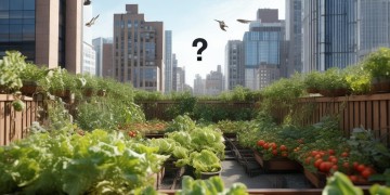 屋顶上种菜,物业真的会管吗?