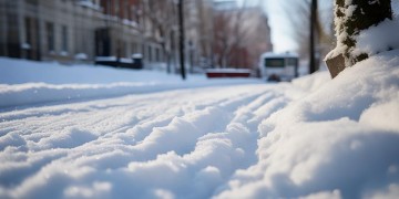 物业为什么要铲雪?